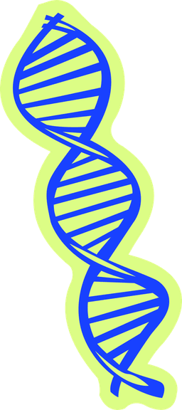 DNA Nittio